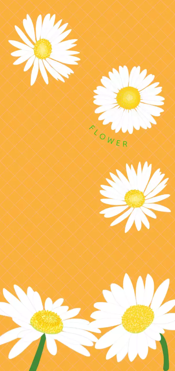 주황 심플 자연 엽서