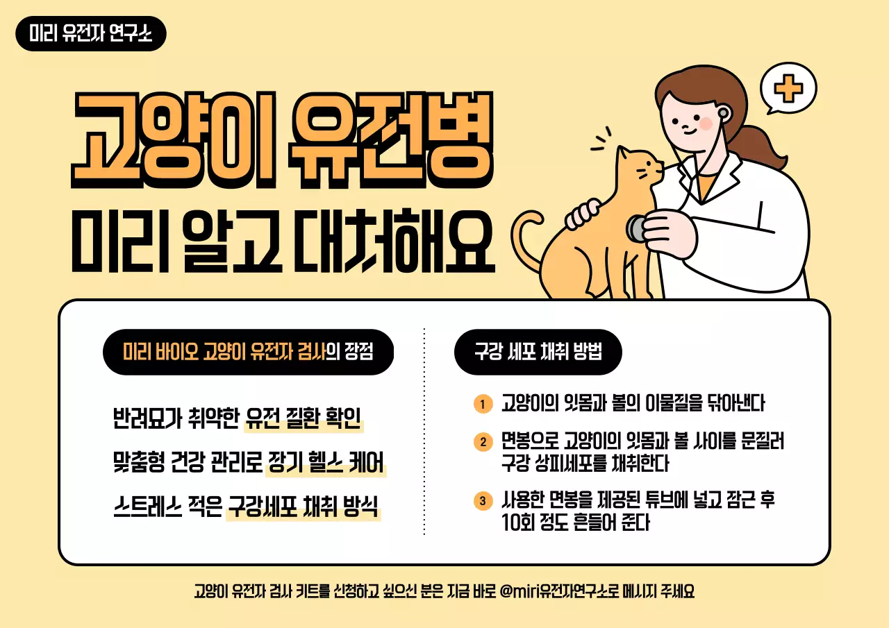 주황 심플 동물 유전자검사 정보