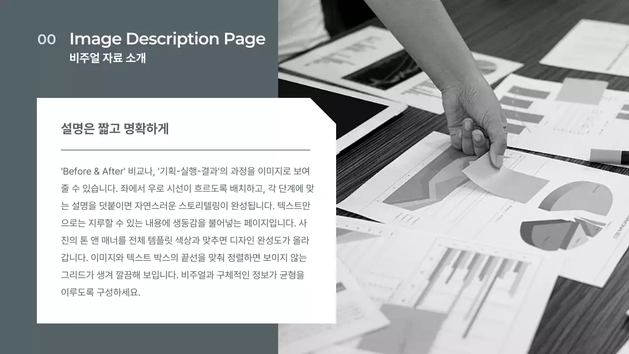 베이지 모던 사업 보고서 분석