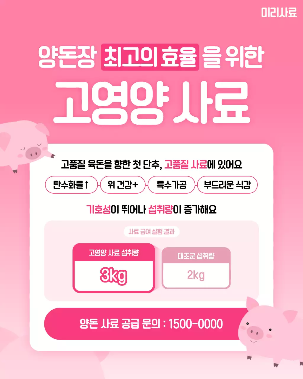 핑크 아기자기한 가축사료 광고