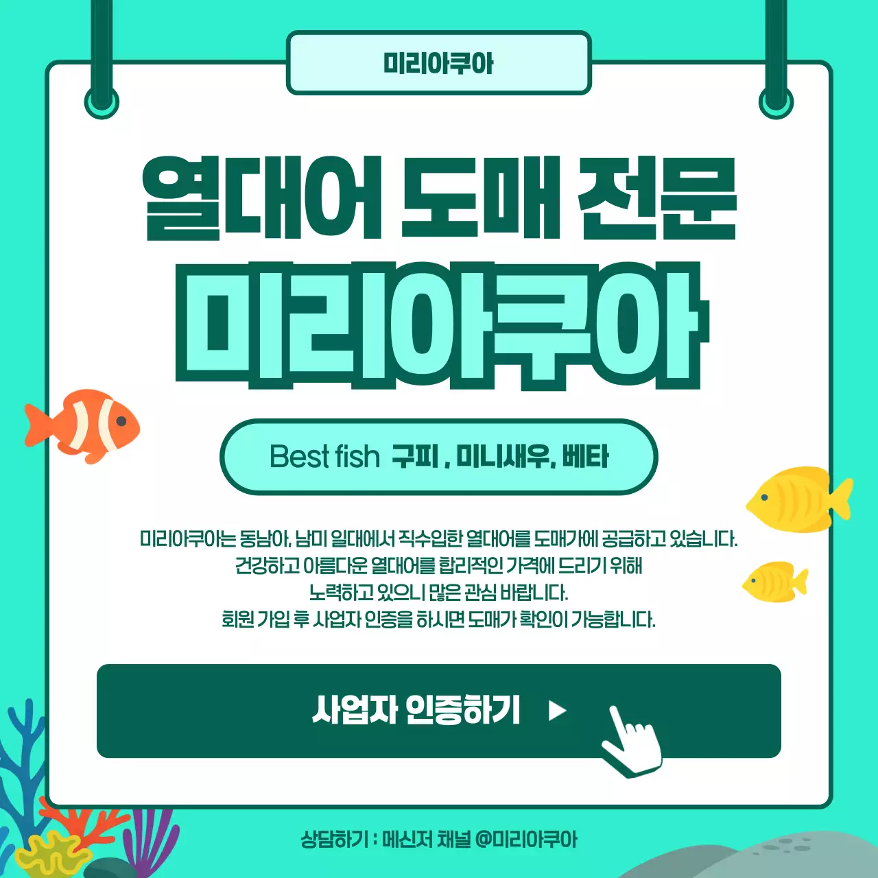 민트 모던 물고기도매 광고