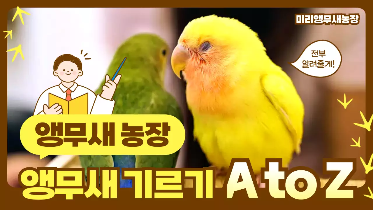 노랑 아기자기한 동물 교육