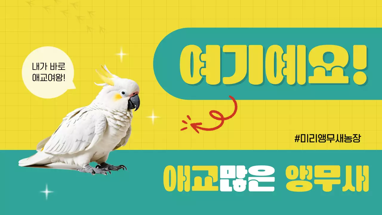 노랑색의 깔끔한 귀여운 앵무새 소개