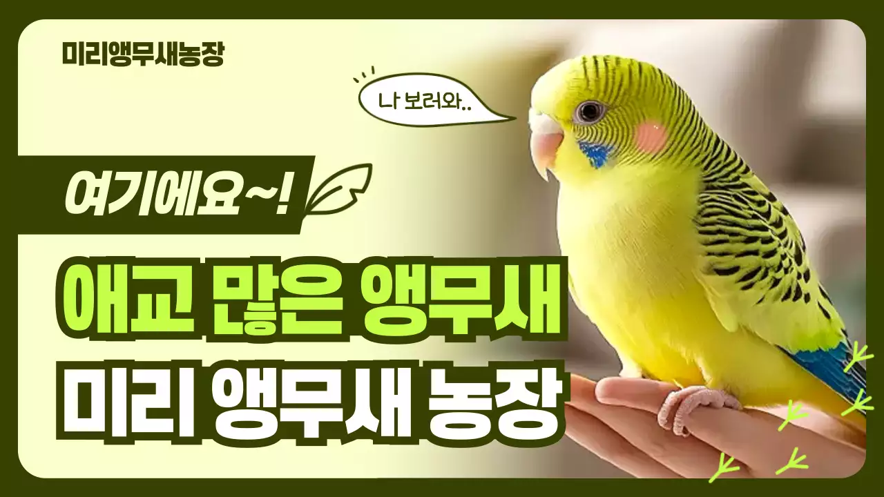 연두 귀여운 동물농장 광고