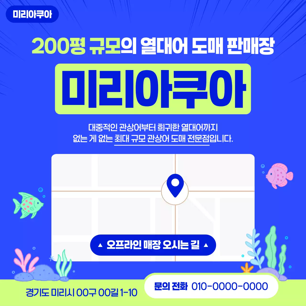 파랑 모던 열대어도매 안내