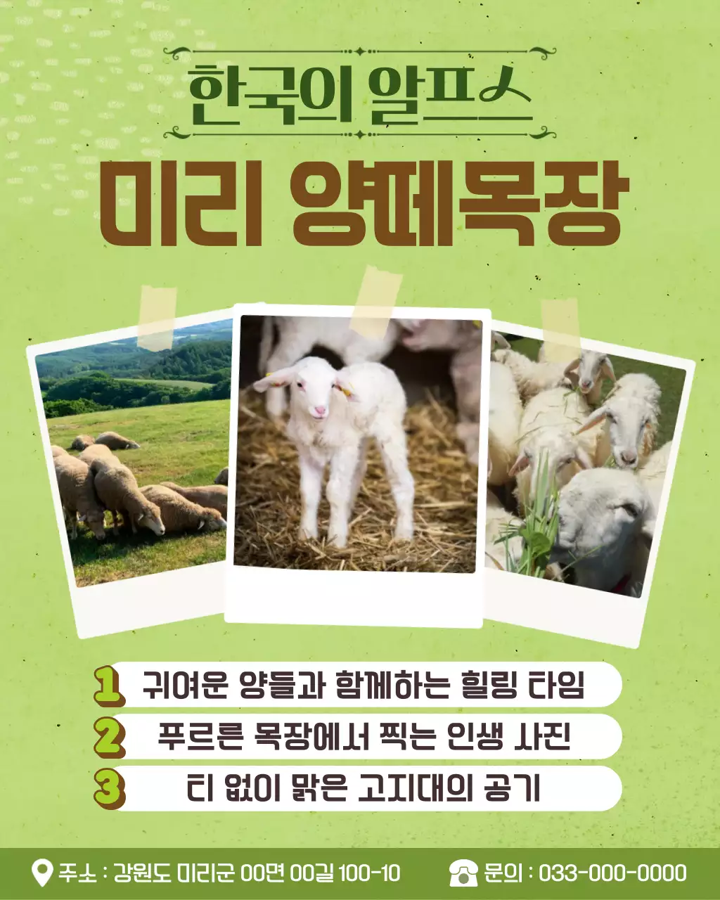 초록 자연 체험단 모집