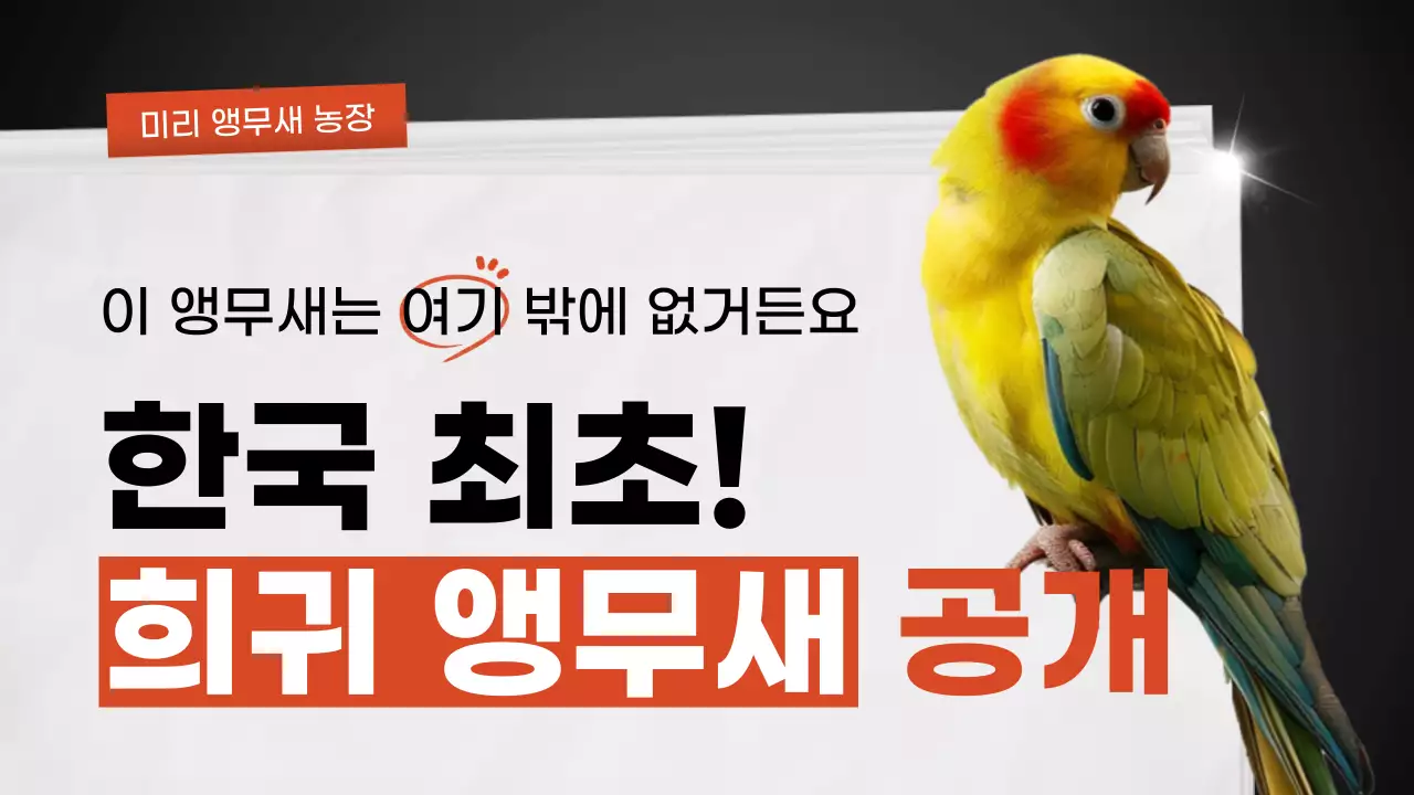 검정 심플 동물 광고