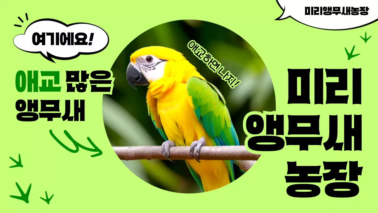 연두 아기자기한 동물원 광고