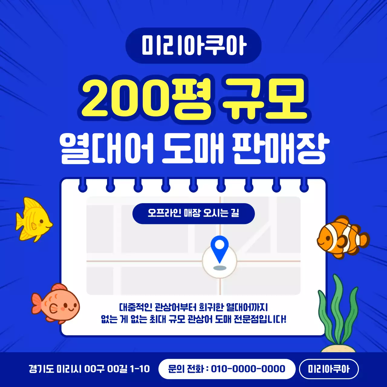 파랑 깔끔 물고기도매 안내