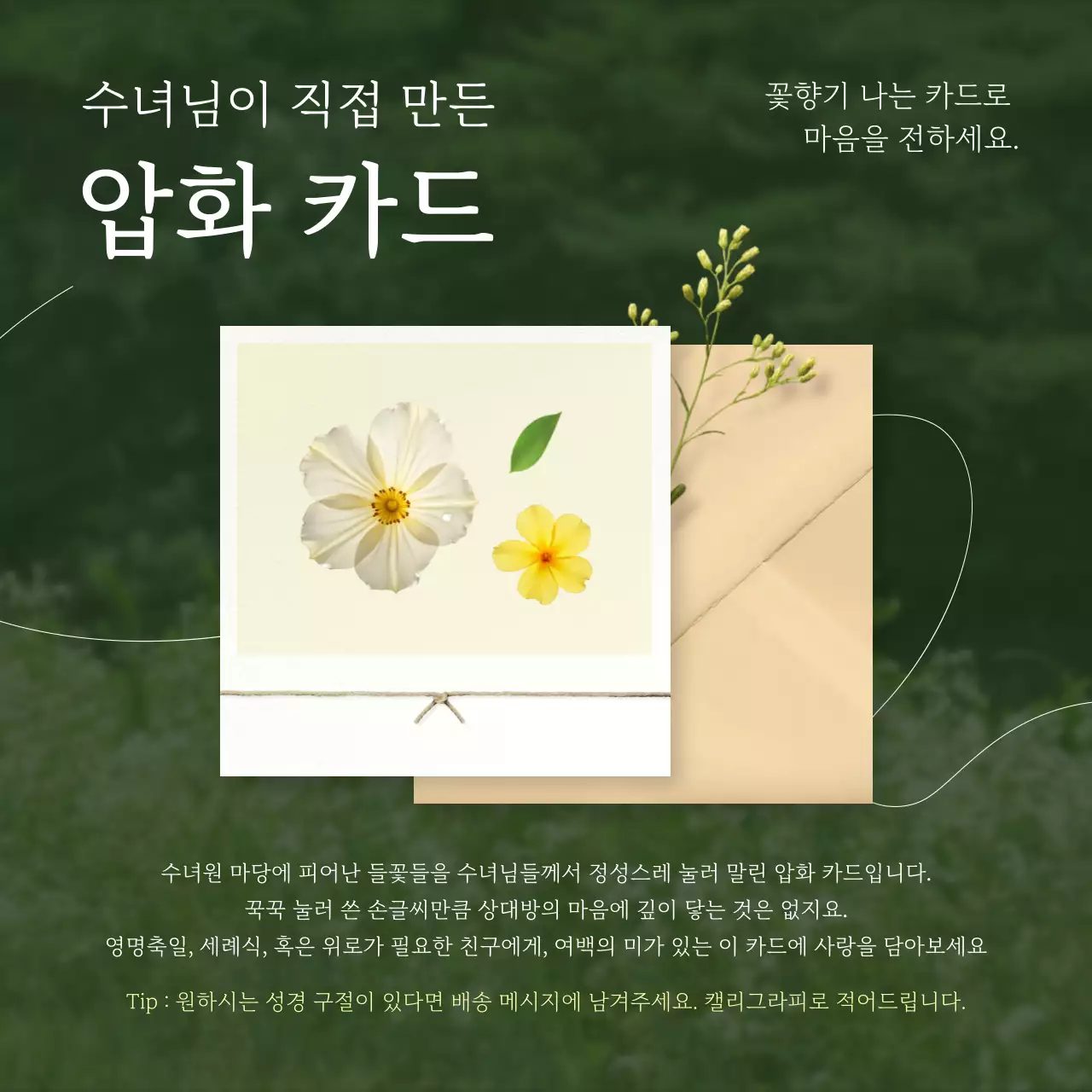 초록 심플 카드 엽서