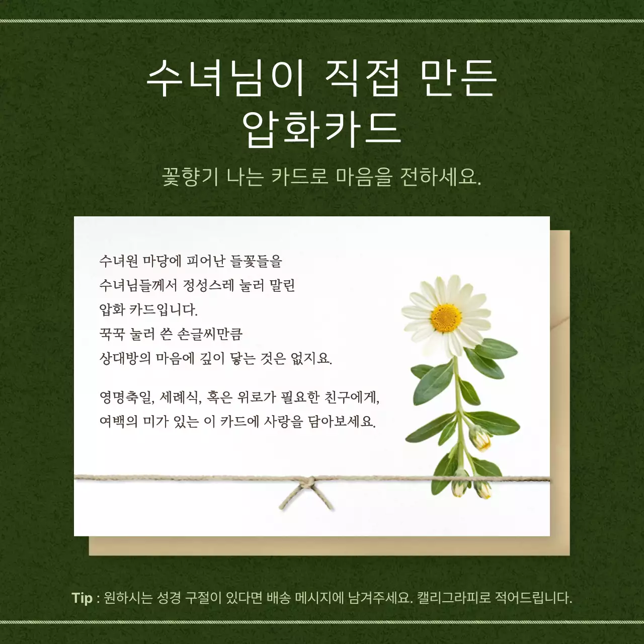 초록 깔끔 카드 안내