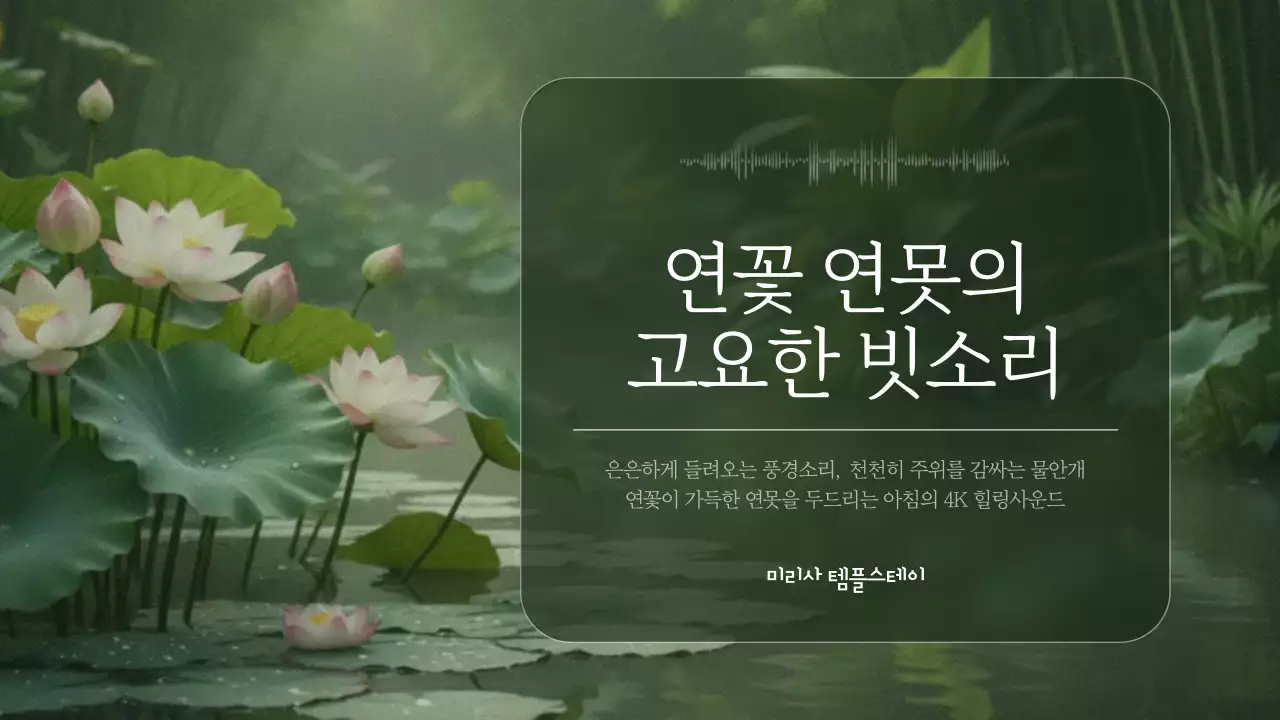 초록 자연 명상 안내