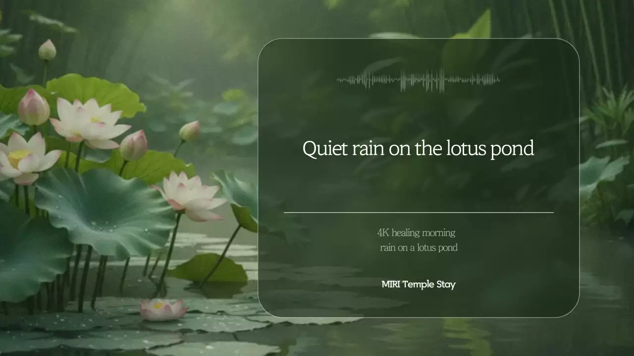 Hướng dẫn thiền định thiên nhiên xanh