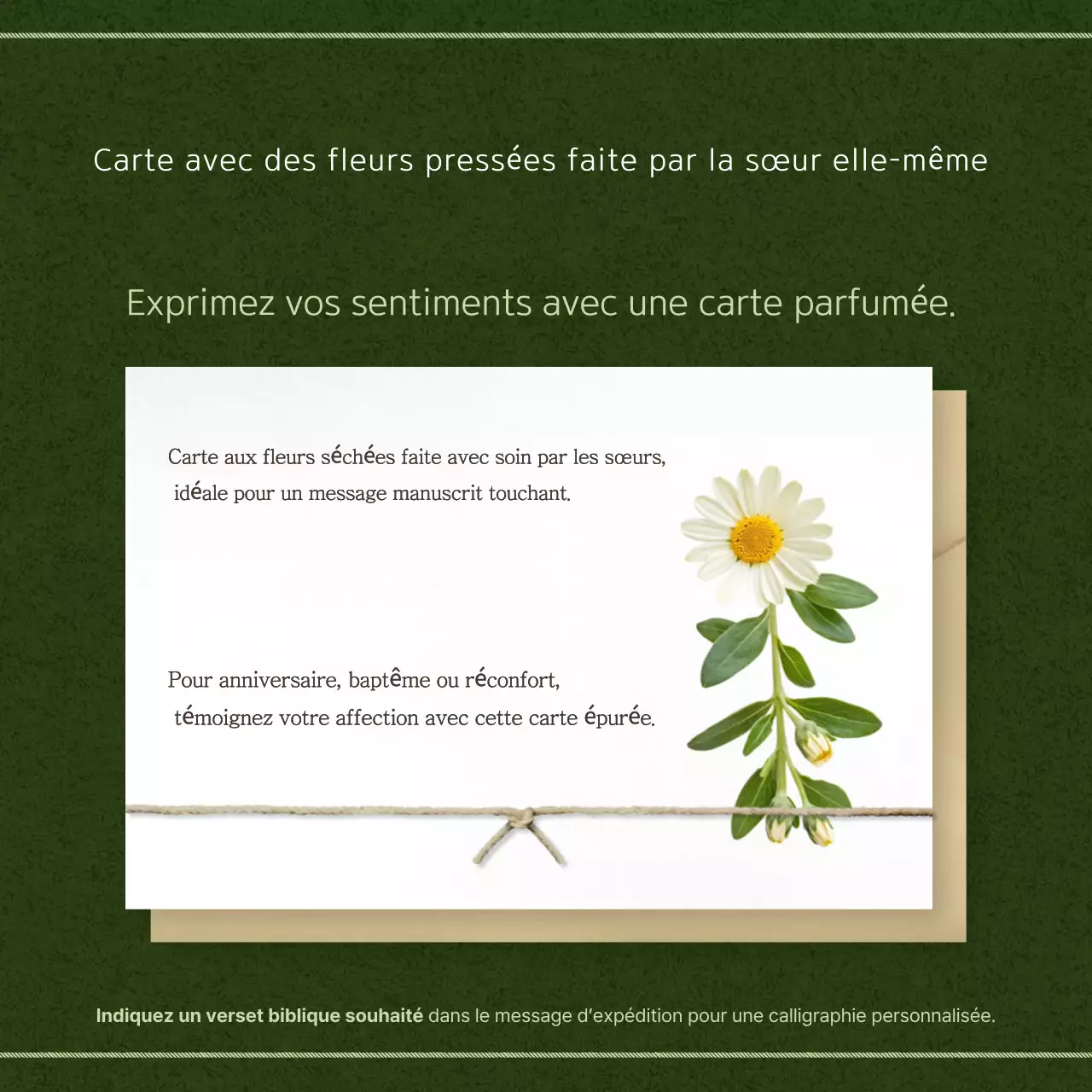 Guide de la carte verte propre