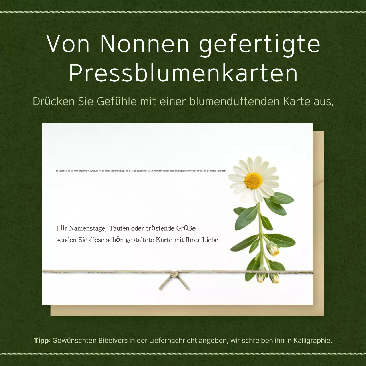 Leitfaden zur Green Clean Card