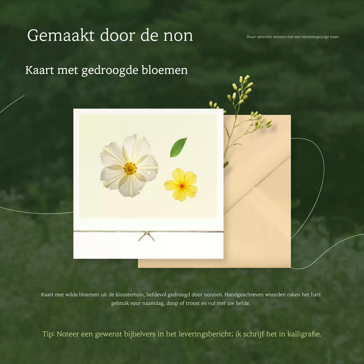 Groene eenvoudige ansichtkaart