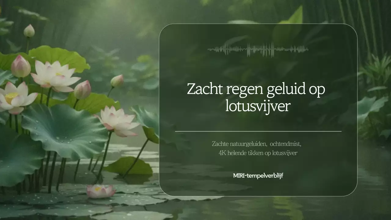 Gids voor groene natuurmeditatie