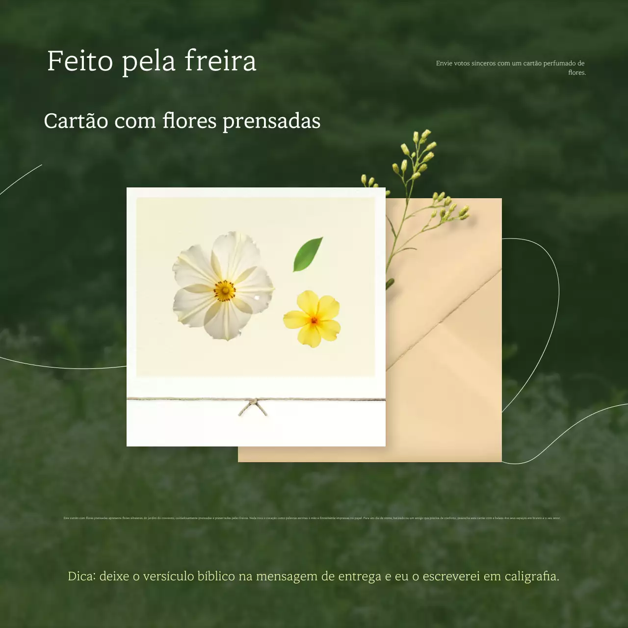 Cartão postal verde simples