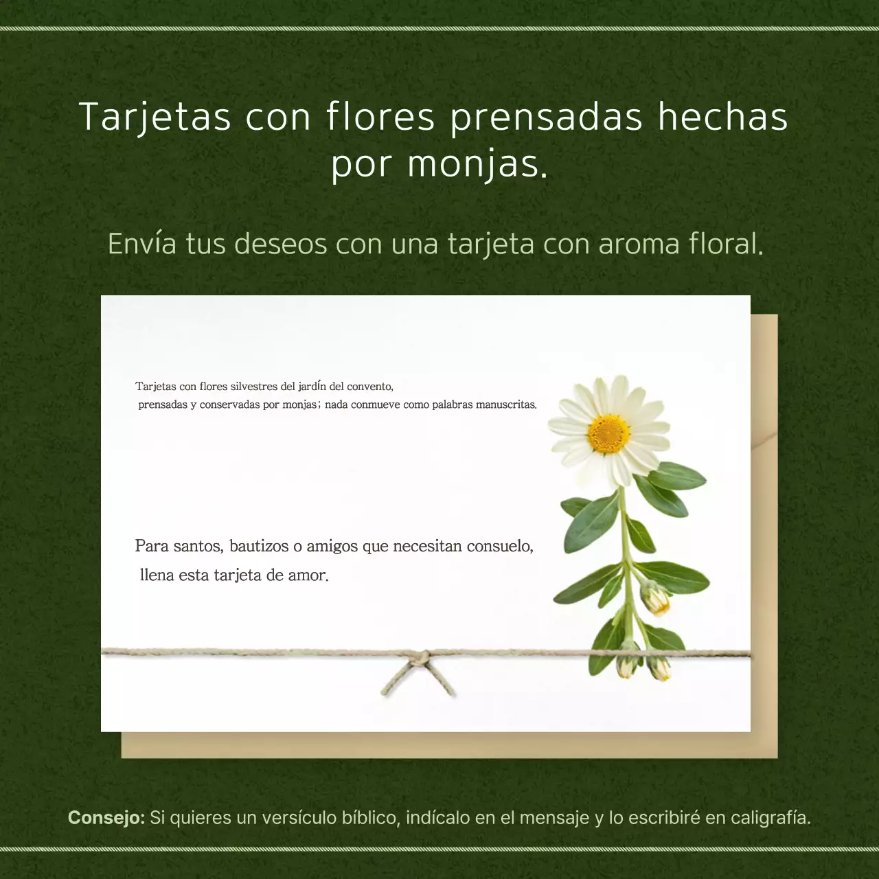Guía de la tarjeta Green Clean