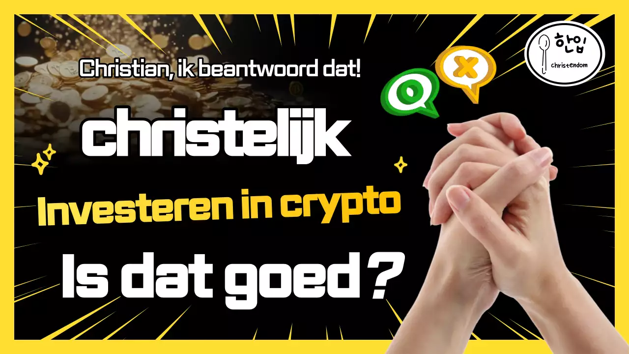 Financiële informatie van Yellow Pop
