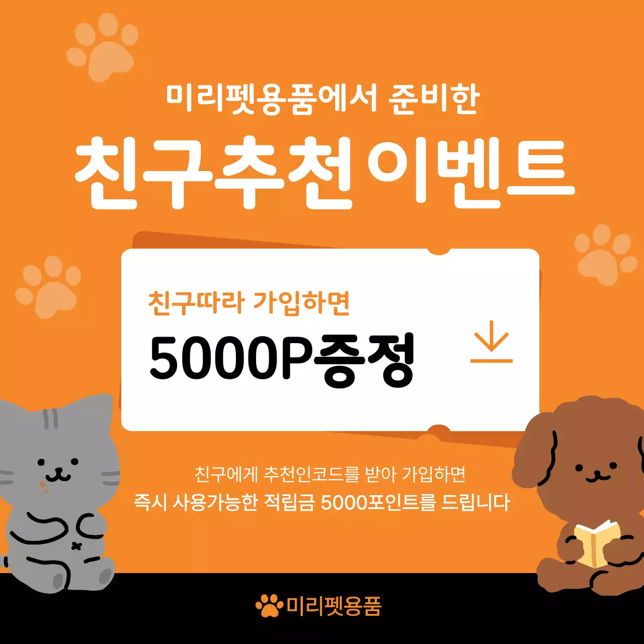 주황 아기자기한 반려동물 이벤트