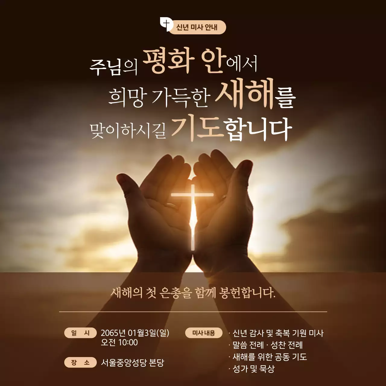 갈색 우아한 새해 안내