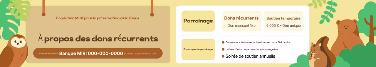 Guide de protection de l'environnement de Beige Baby