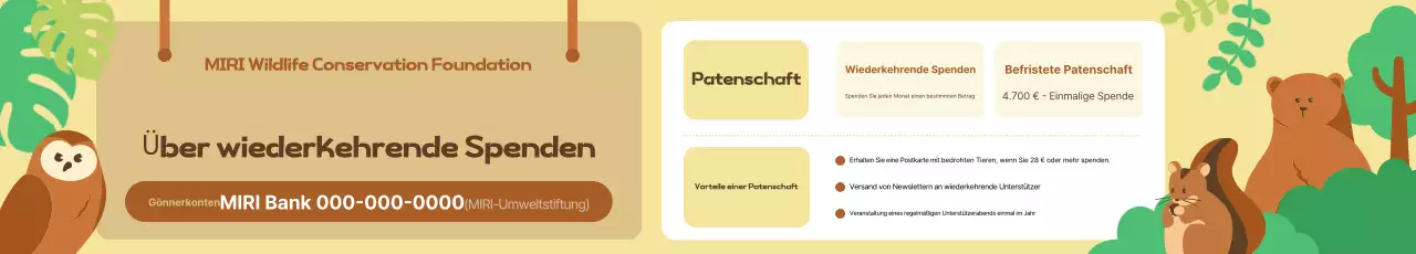 Beige Baby's Umweltschutzleitfaden