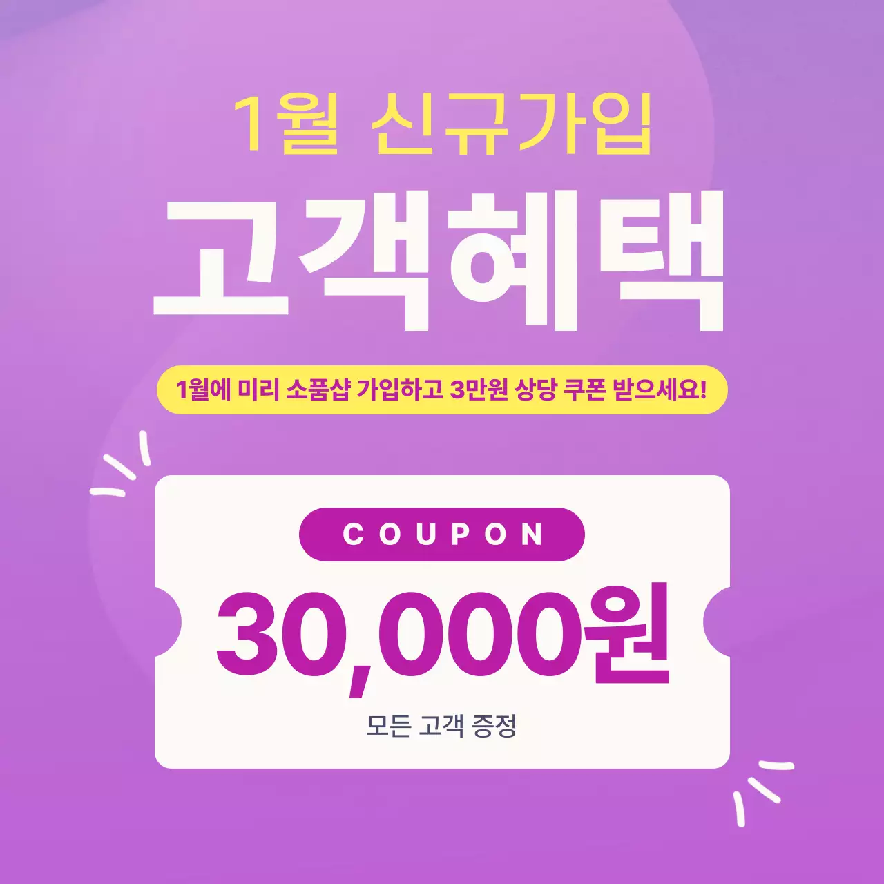 연보라 모던 쿠폰 프로모션