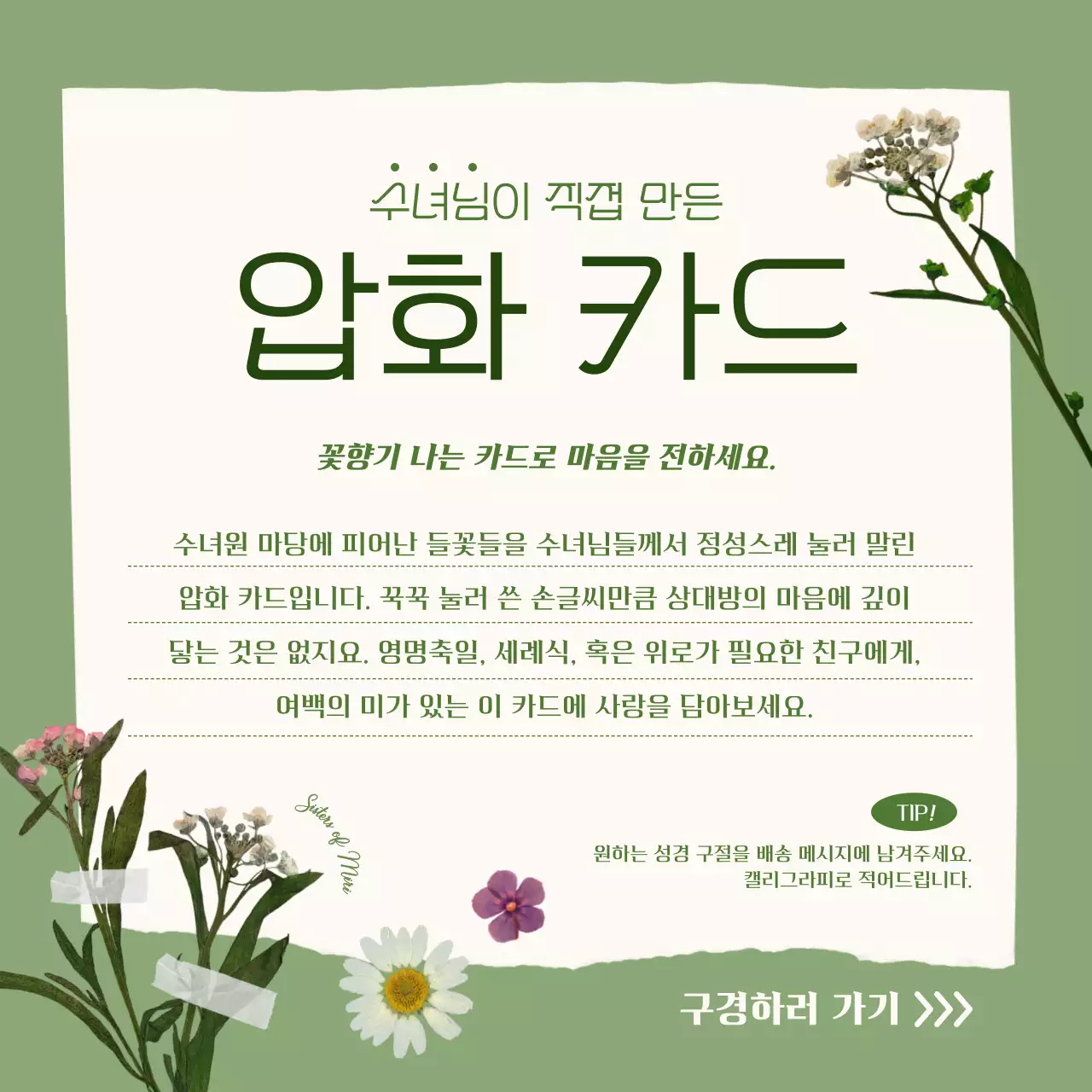 카키 심플 압화카드 홍보