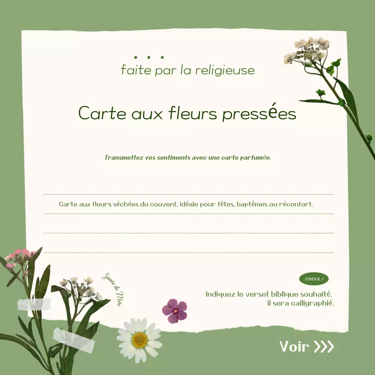 Carte promotionnelle kaki simple avec fleurs pressées