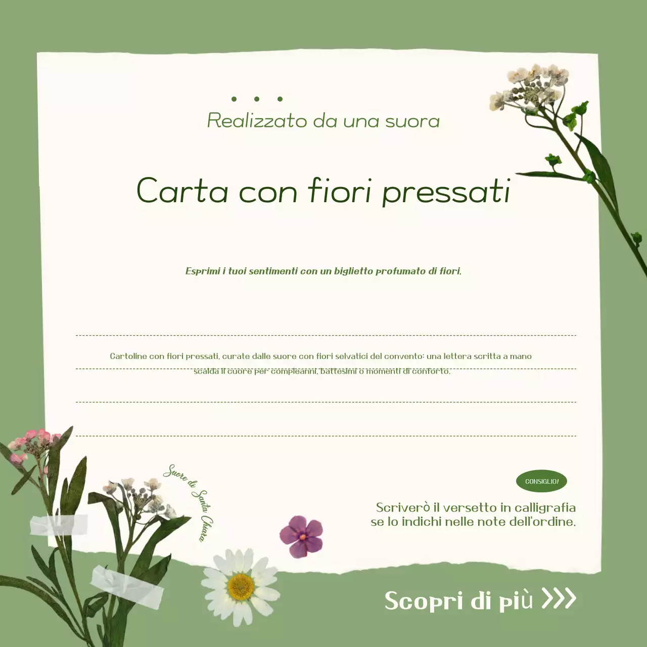 Promozione della carta con fiori pressati semplici color cachi