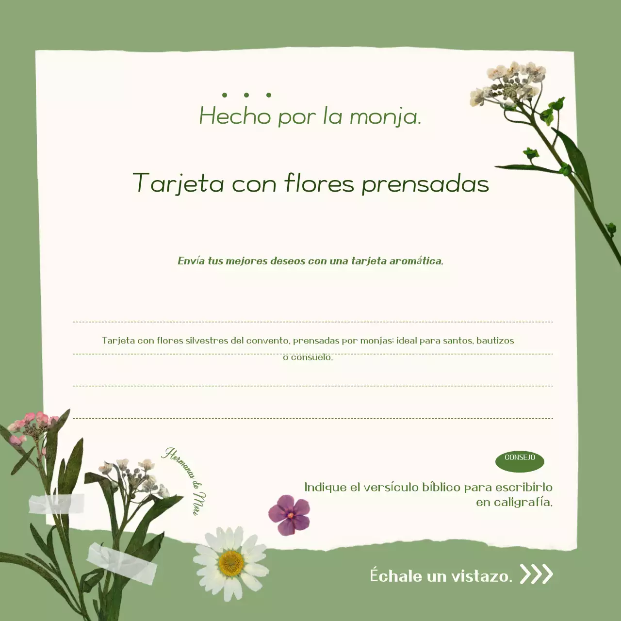 Promoción de tarjetas con flores prensadas sencillas de color caqui