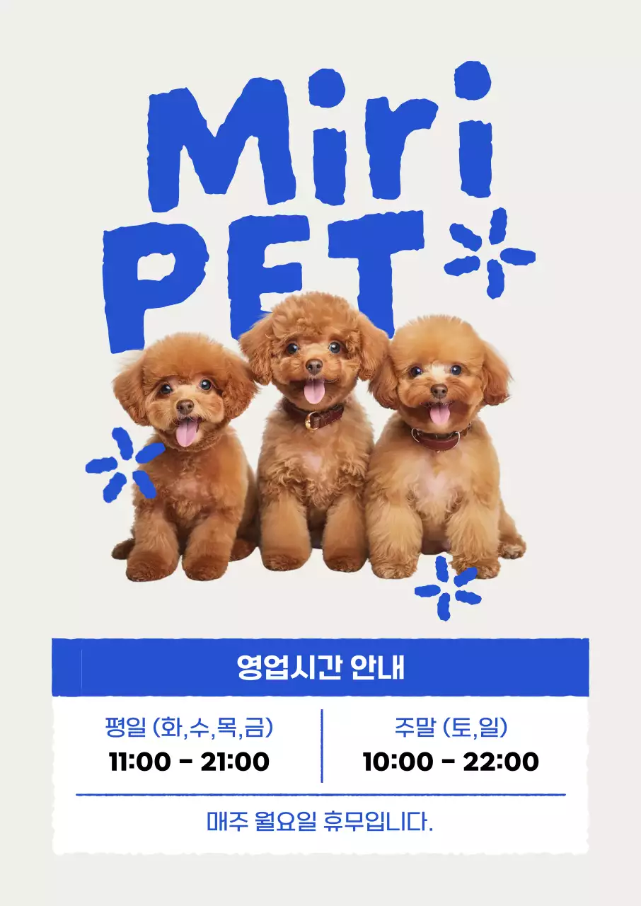 파랑 아기자기한 반려동물 안내