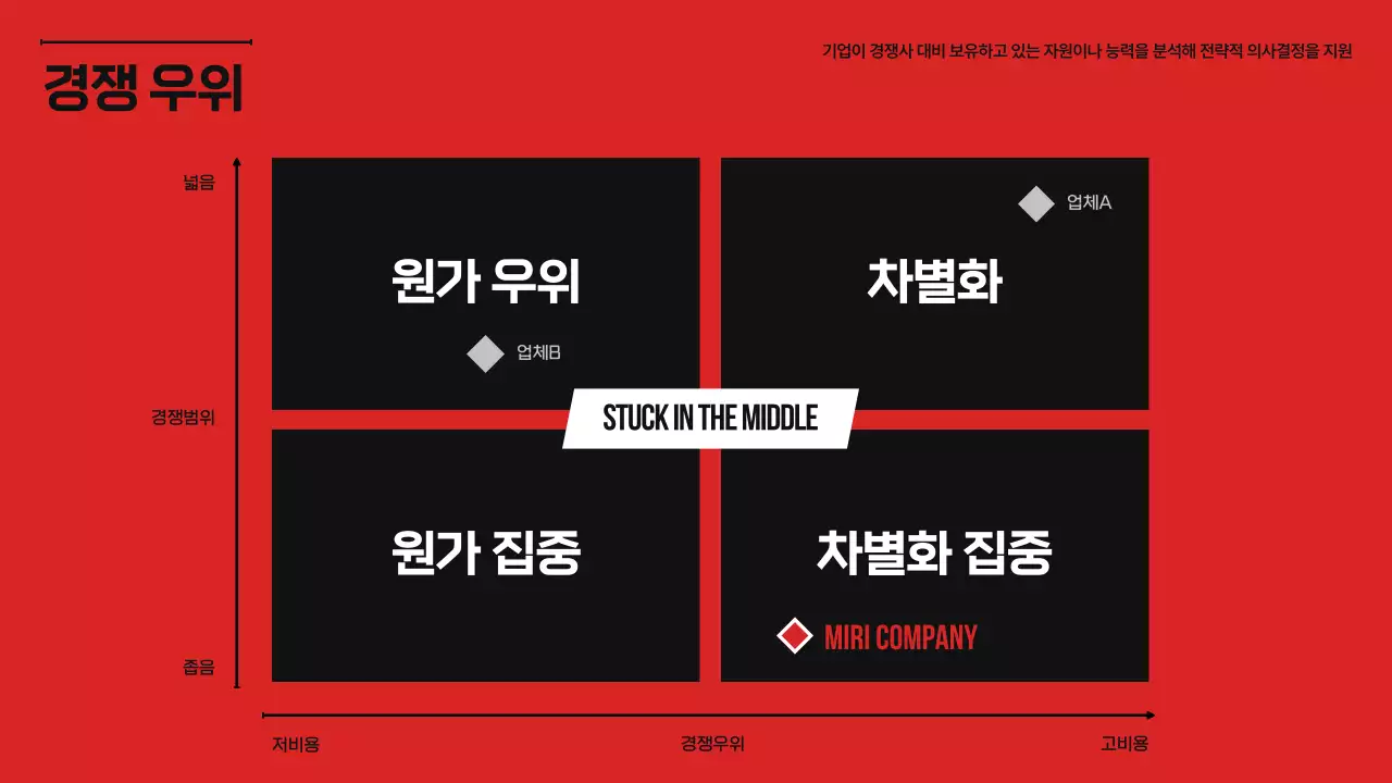 강렬 모던 시장 분석 보고서