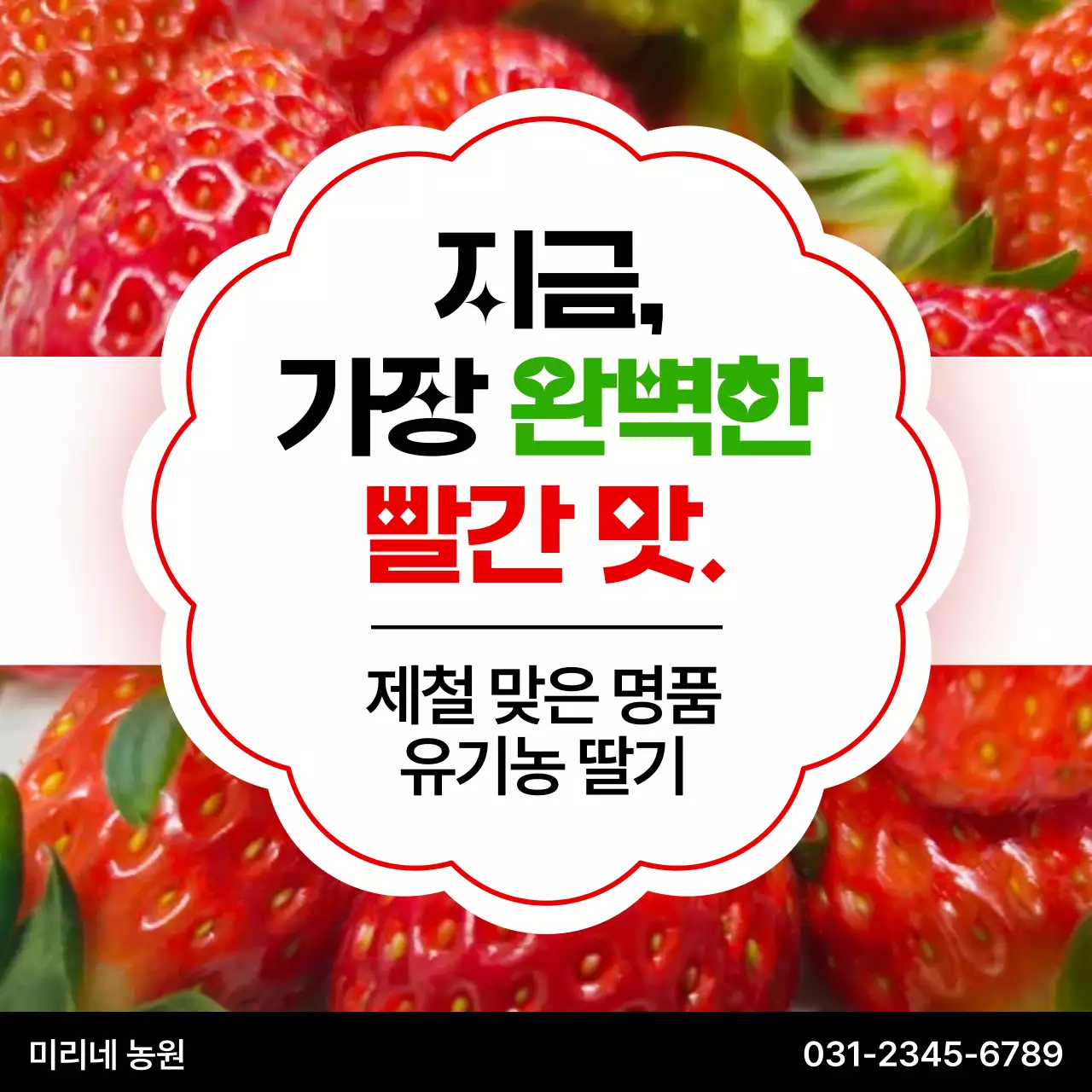 빨강 심플 레이스 농산물 광고