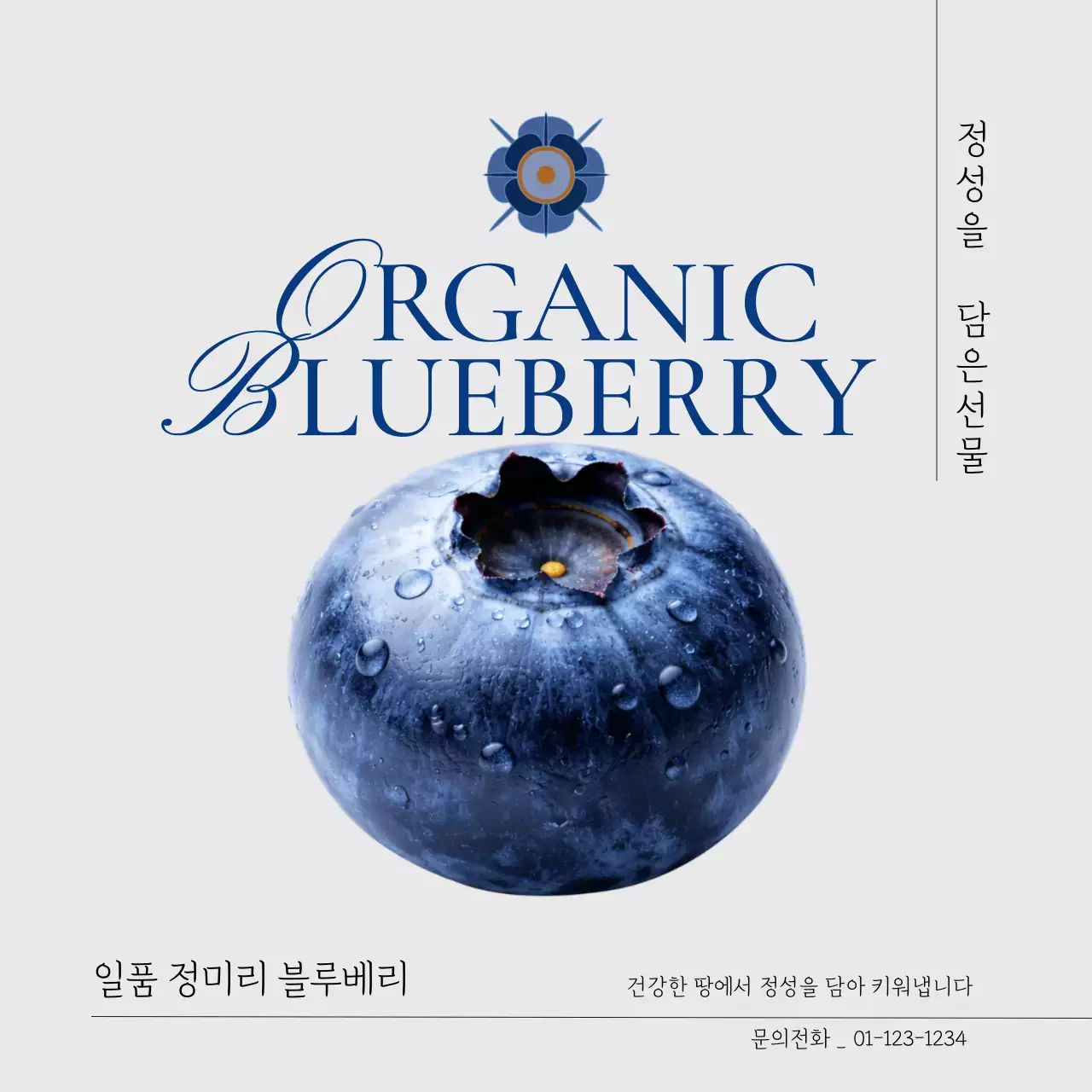 흰색 모던 과일 광고