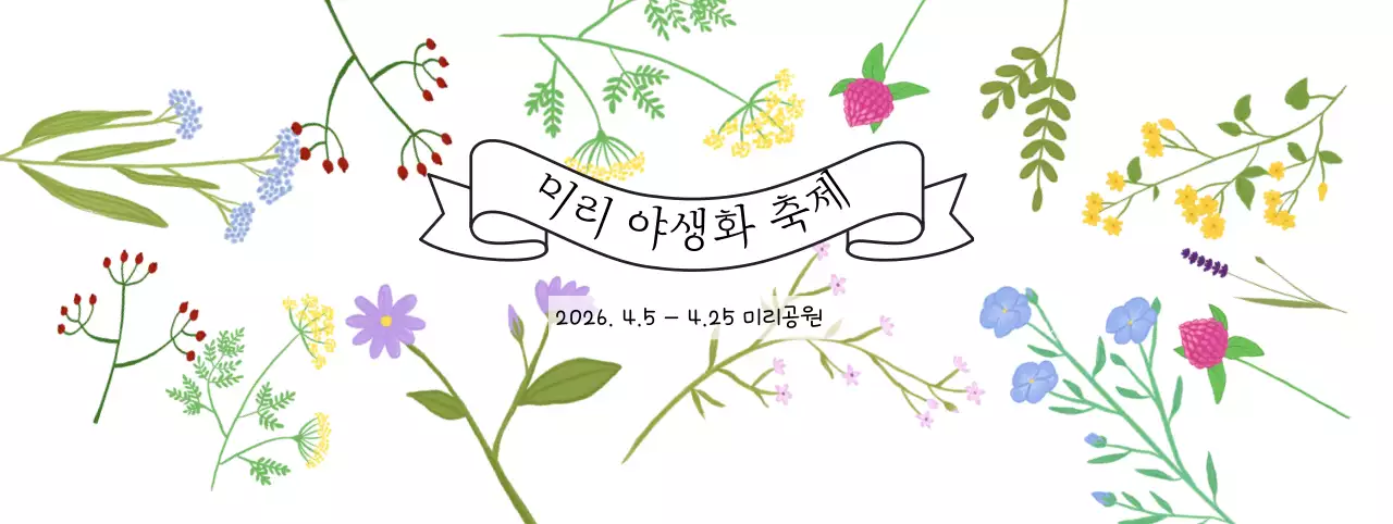 흰색 아기자기한 야생화 축제 안내