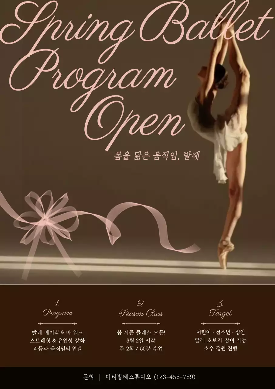 갈색 우아한 발레 프로그램 홍보
