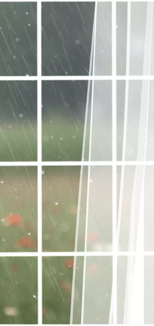 창문 너머로 아침비가 내리는 모습을 담은 사진 액자