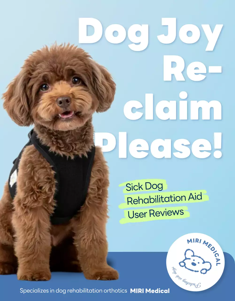 iklan rehabilitasi anjing modern berwarna biru