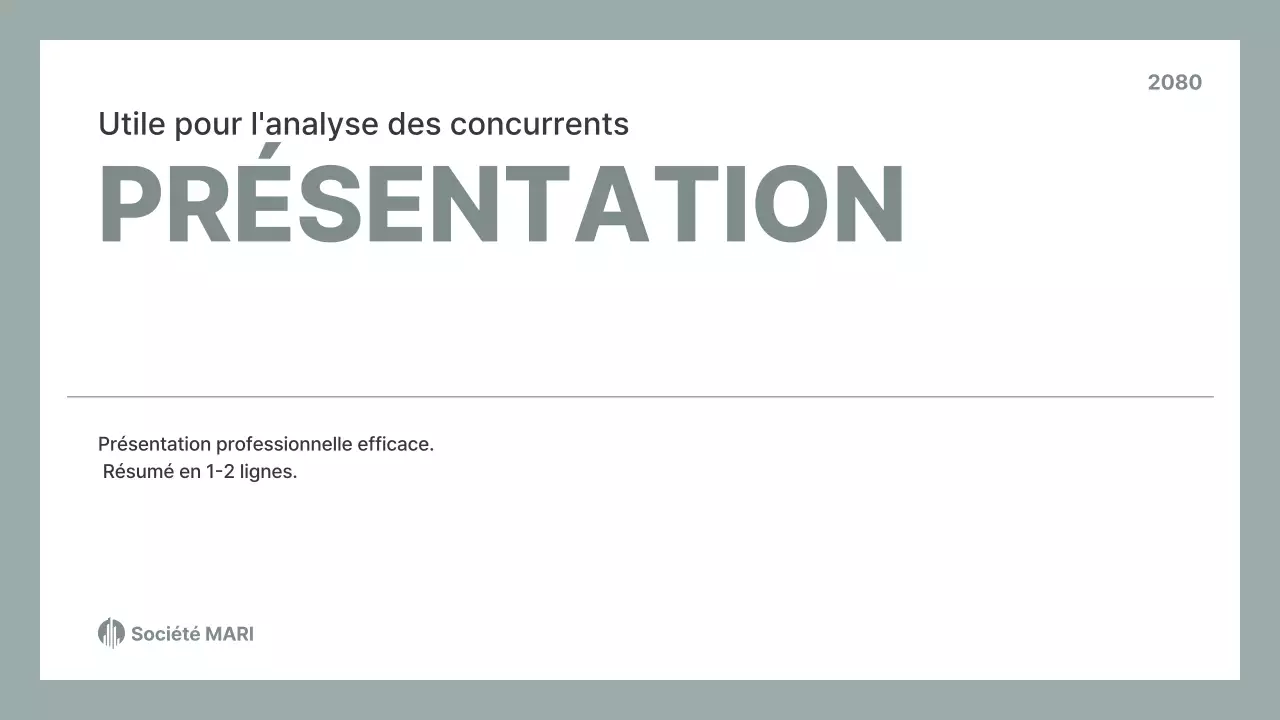 Rapport d'entreprise Gray Clean