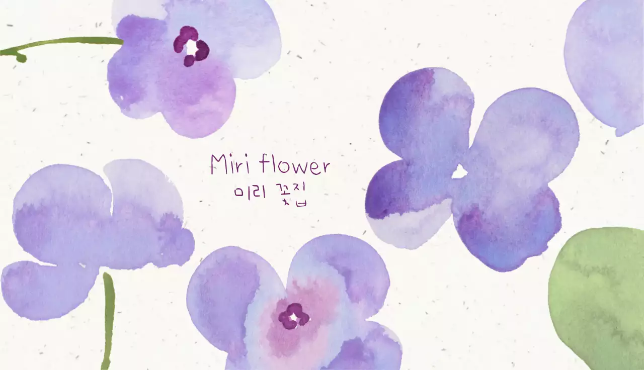 연보라 자연 꽃 편지