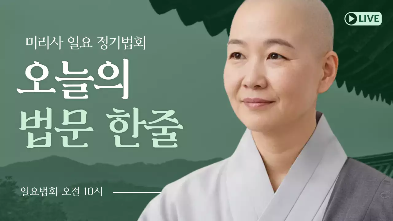 카키 전통 법회 안내