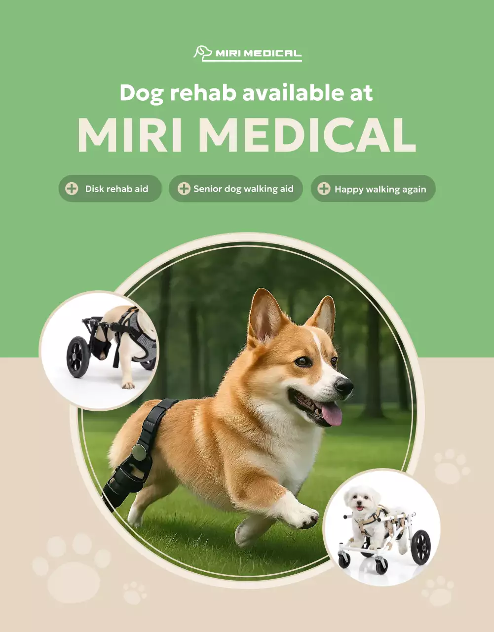 promosi hewan peliharaan modern ramah lingkungan