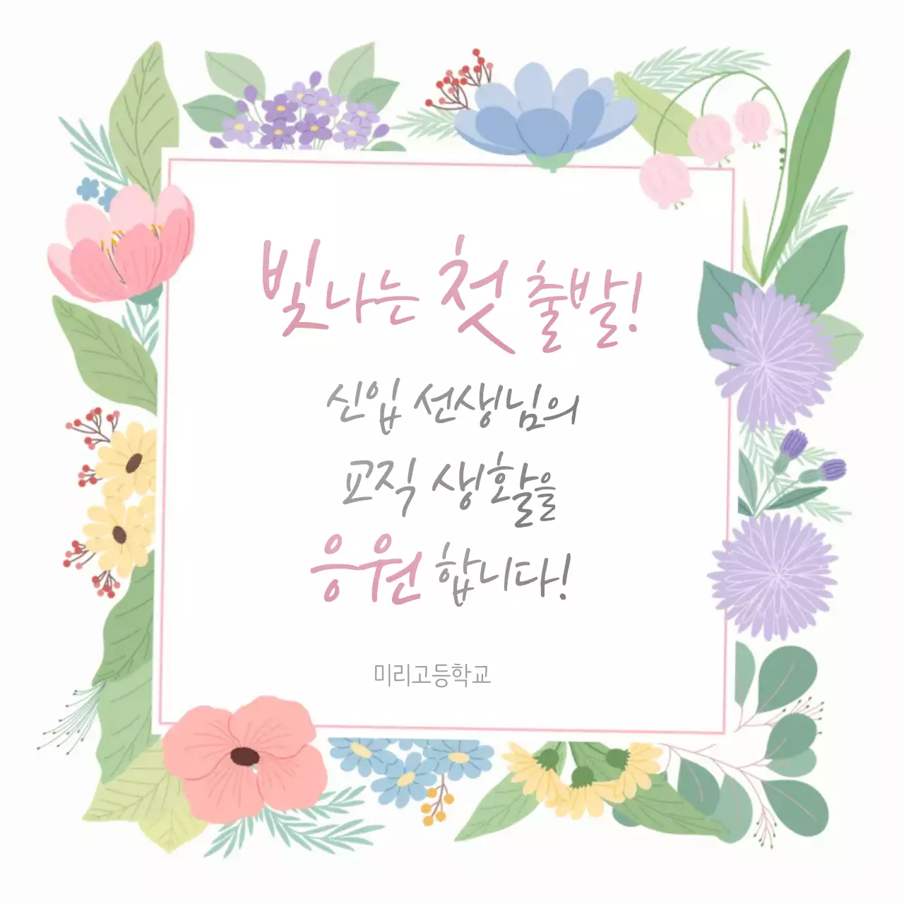 연보라 아기자기한 응원 행사