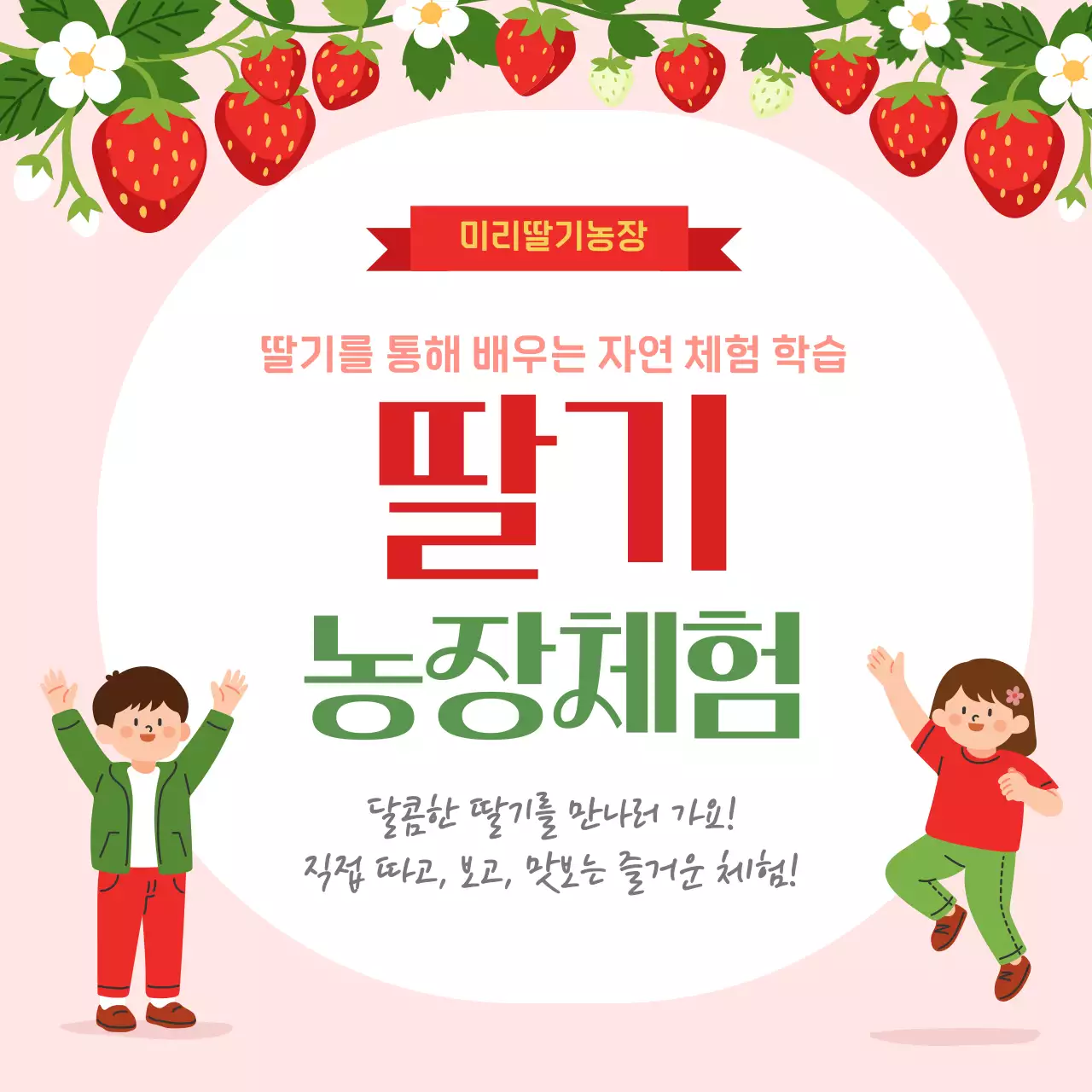 핑크 아기자기한 딸기 농장체험 홍보