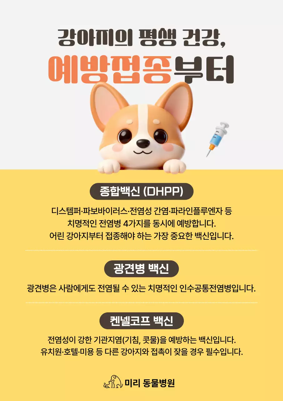 주황 아기자기한 동물 보호 안내