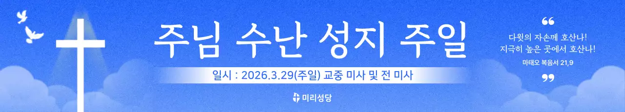 하늘색 심플 주님 수난 성지 주일 안내