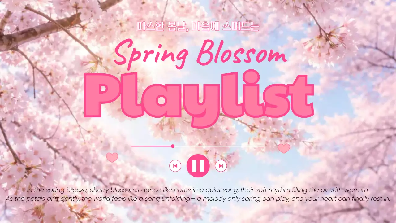 핑크 벚꽃 봄날 음악